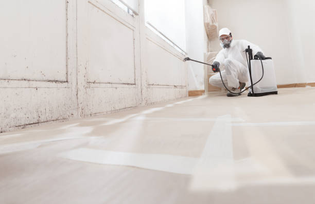 24/7 Emergency Black Mold Removal experts in Cary, NC