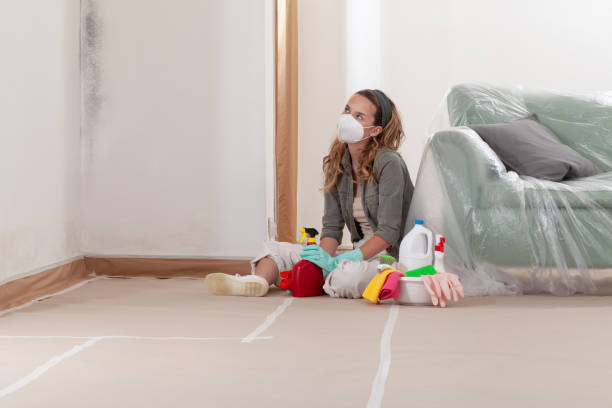 Trusted Black Mold Removal service in Cary, NC - Cheap Mold Removal